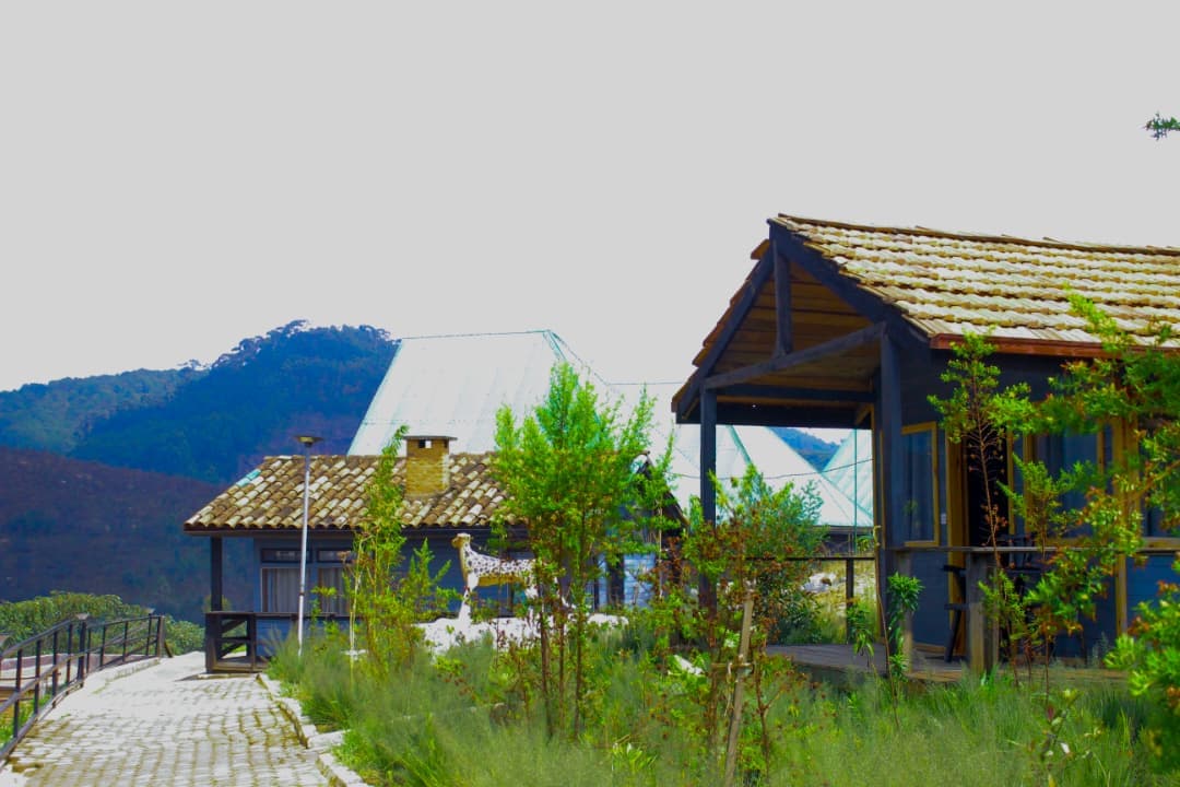 Nyungwe Nziza gallery preview 2