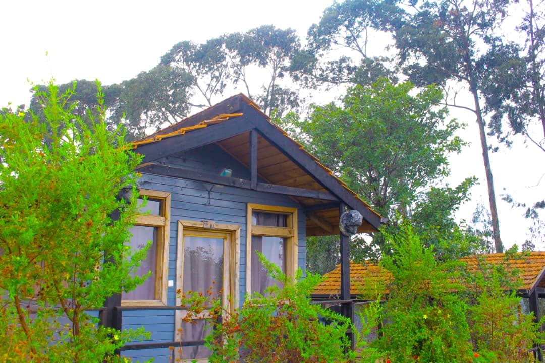 Nyungwe Nziza Ecolodge gallery image 7