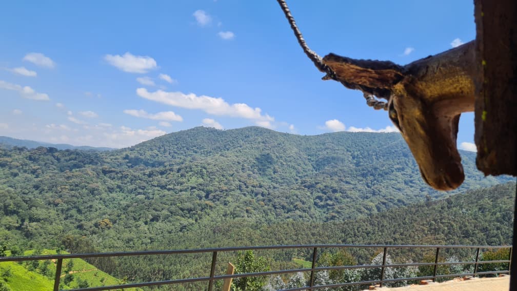 Nyungwe Nziza Ecolodge gallery image 12