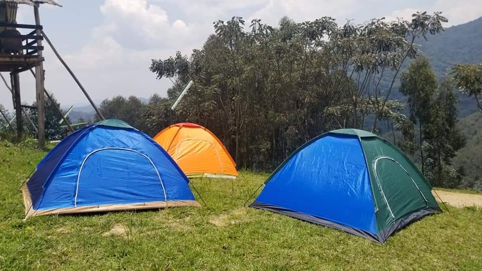 Nyungwe Nziza gallery preview 4