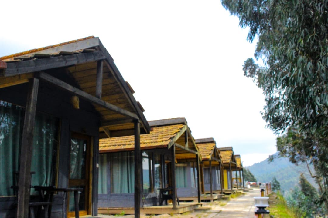 Nyungwe National Park Adventures