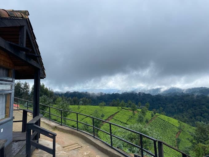 Tea & Cultural Visits at Nyungwe National Park